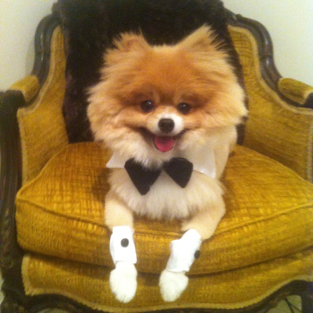 Meet your Posher, Andrea